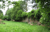 Remains of the walled garden