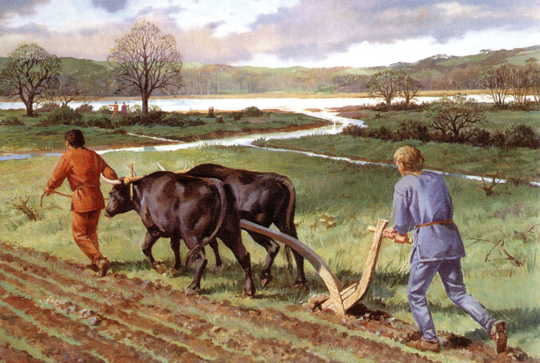 Ploughing in the Bronze Age - artist's impression